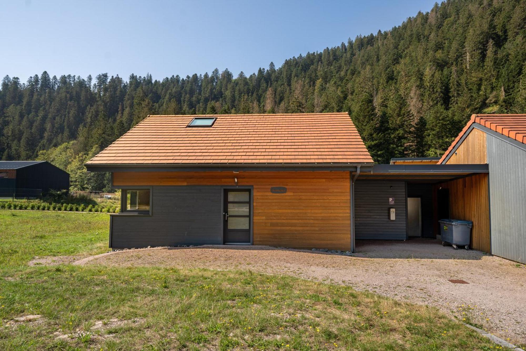 Chalet Nemesia Avec Spa A Gerardmer Ngoại thất bức ảnh